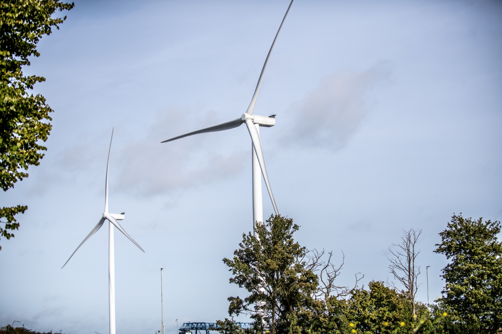 Windmolen Energietransitie